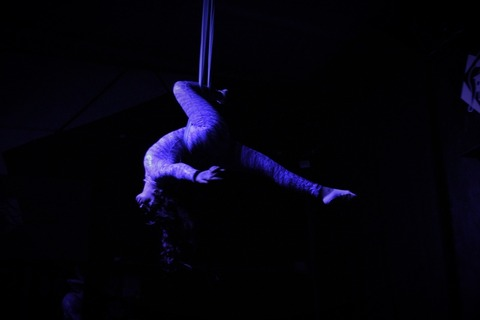 eleveriaelegans header picture leakfans.com