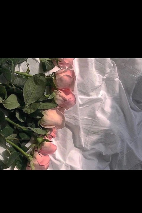 elf_elisa header picture leakfans.com