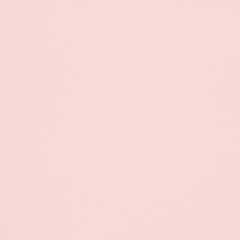 elizaxleee header picture leakfans.com