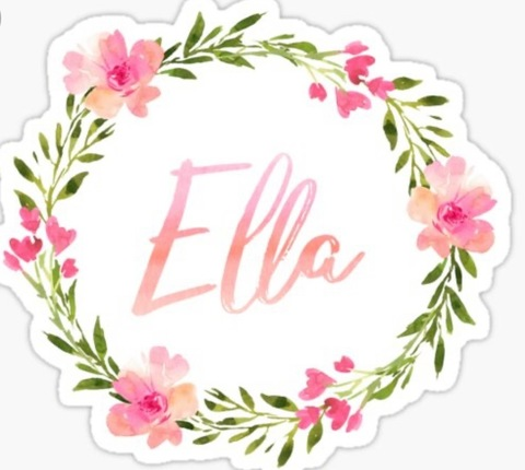 Header of ellaocean8