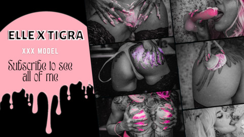 Header of elle.tigra