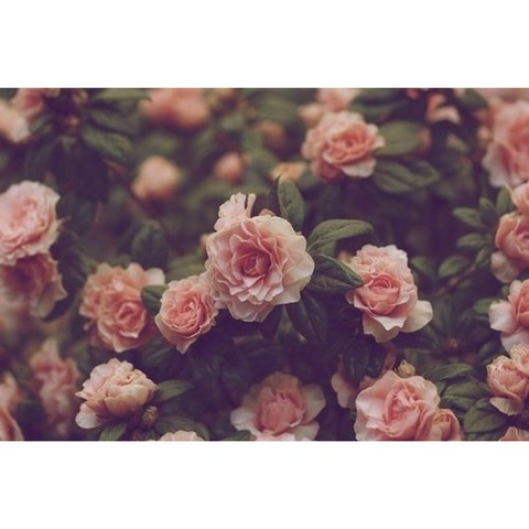 elle_jaybabe header picture leakfans.com