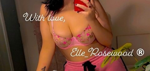 Header of ellerosewood