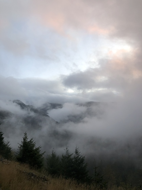 ellshaus header picture leakfans.com