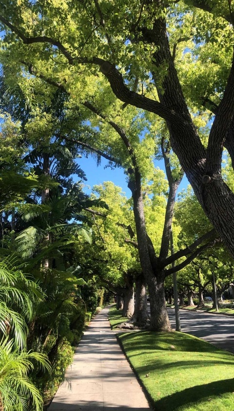 elsaswedish header picture leakfans.com