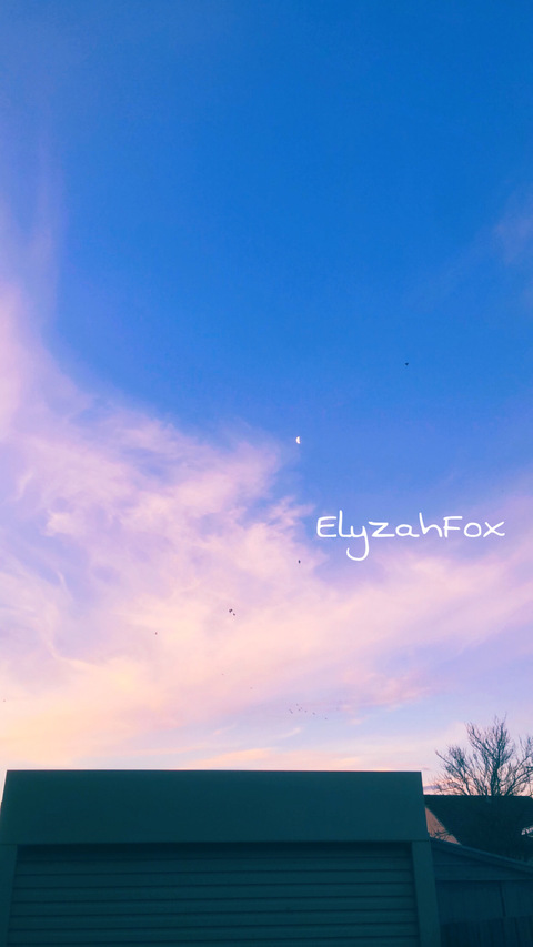 elyzahfox header picture leakfans.com