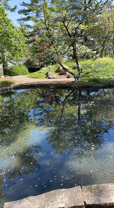 emillly header picture leakfans.com