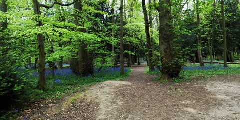 emily-nightt header picture leakfans.com