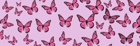 emilyalexis header picture leakfans.com