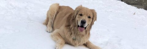 emilyepeters_ header picture leakfans.com