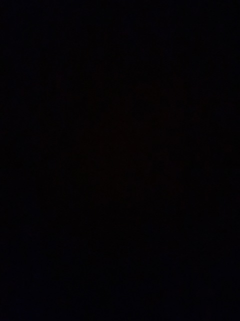 emilyylouu96 header picture leakfans.com