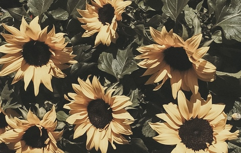 emkayy47 header picture leakfans.com