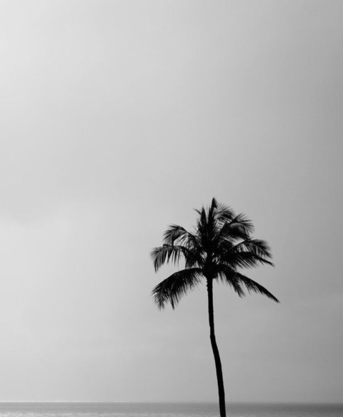 emmah111 header picture leakfans.com