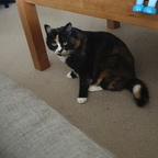 emmamaee profile picture leakfans.com