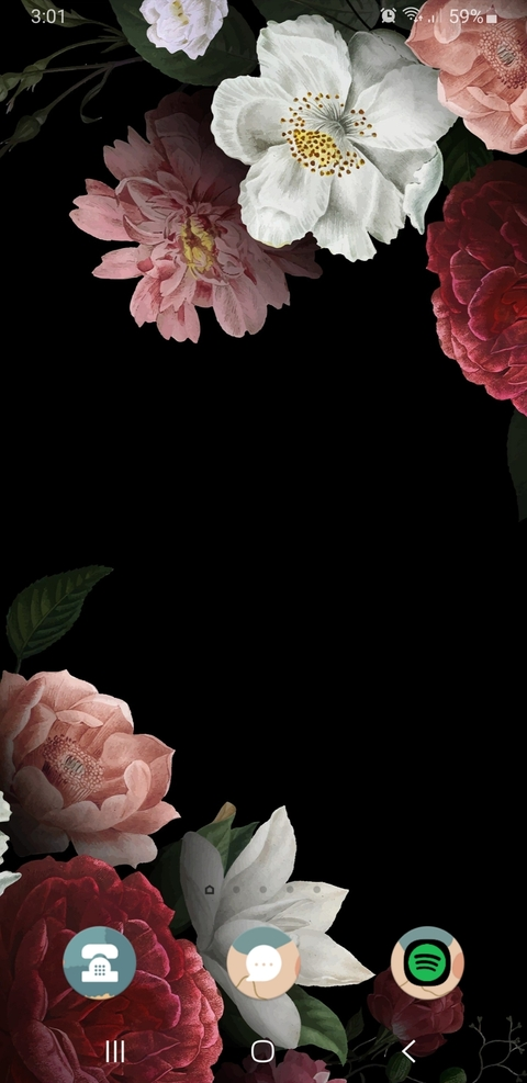 emmamaee header picture leakfans.com