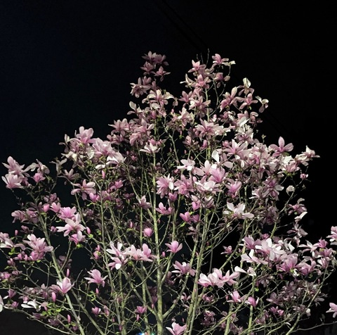 emoangel69 header picture leakfans.com