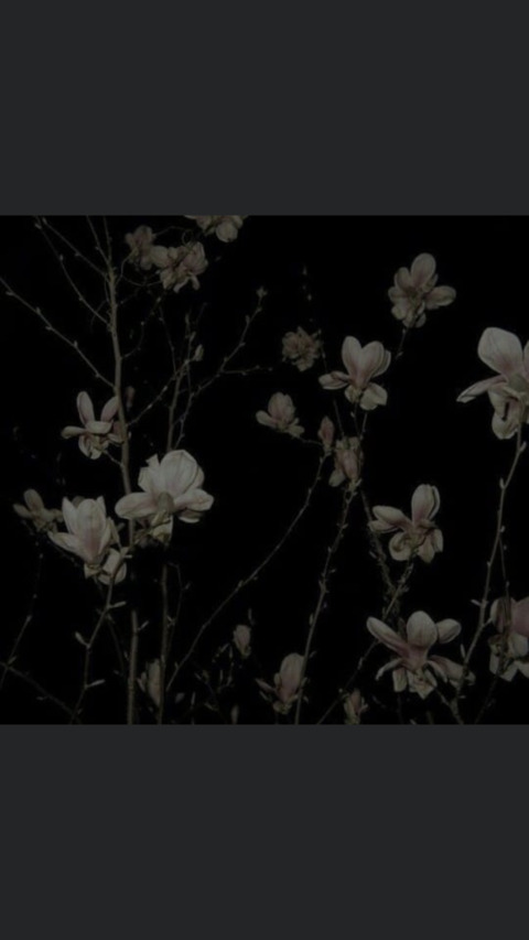 emvonteese header picture leakfans.com