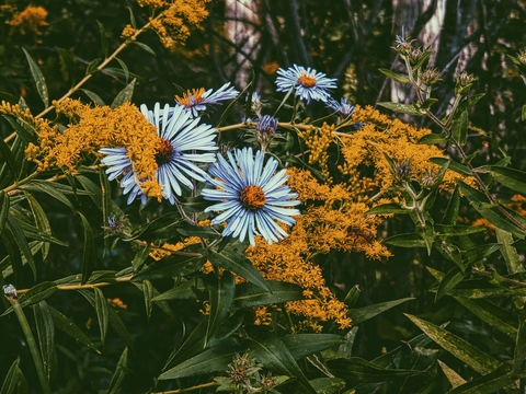 endobitch header picture leakfans.com