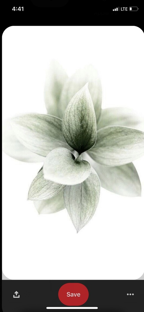 epaella header picture leakfans.com