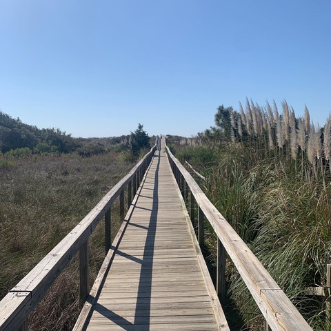 epdtravels header picture leakfans.com