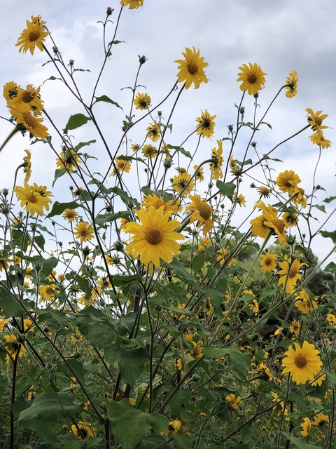 eranmo header picture leakfans.com