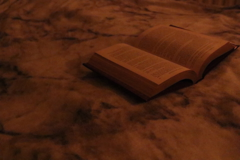 erotic.reads header picture leakfans.com