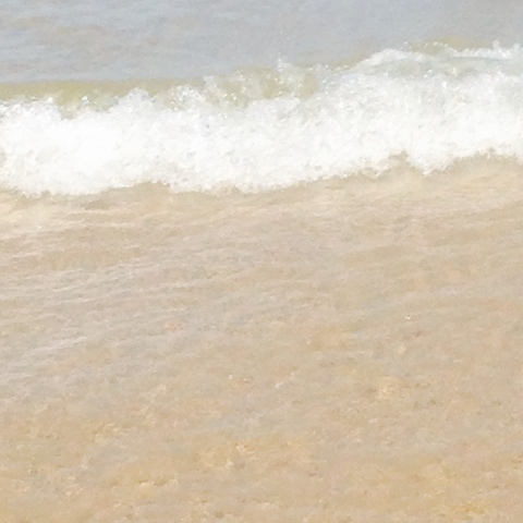 erotica_1 header picture leakfans.com