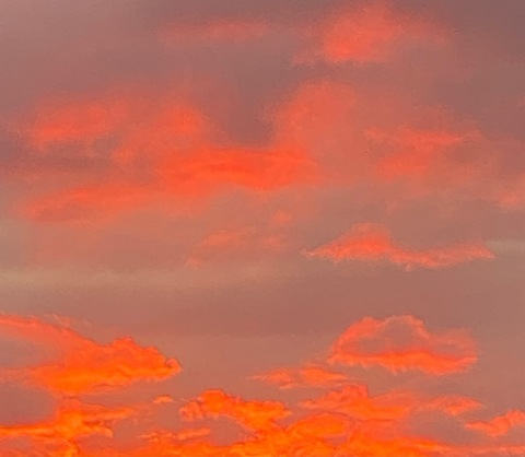 es.lainn header picture leakfans.com