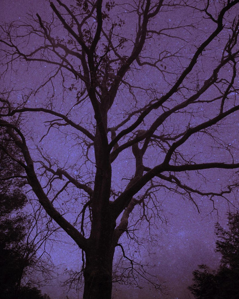 esohcysp header picture leakfans.com