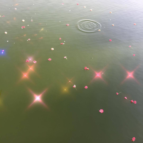 ethere-el header picture leakfans.com