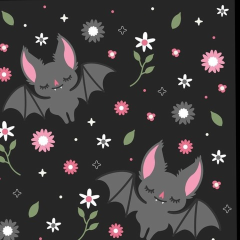 euphoriagirll header picture leakfans.com