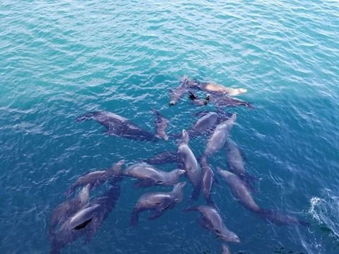 everybodymeow header picture leakfans.com