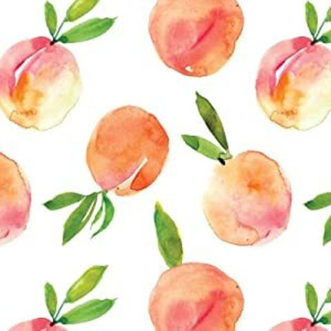 eveybaby95 header picture leakfans.com