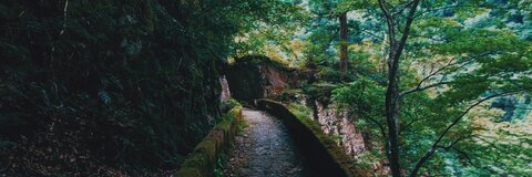 explodedsoda header picture leakfans.com