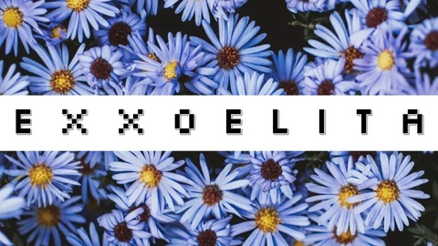 exxoelita header picture leakfans.com