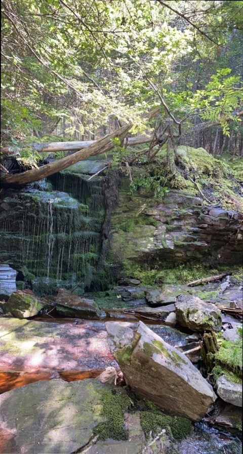 eyecandi.xxx header picture leakfans.com