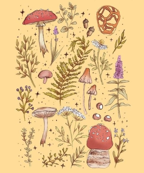 faerierealms header picture leakfans.com