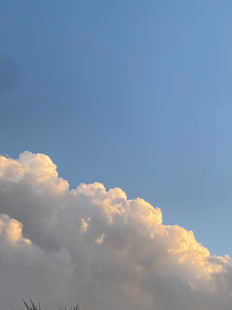 fairiwinni header picture leakfans.com