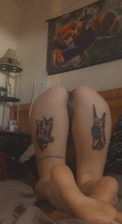 fairylustxoxo header picture leakfans.com