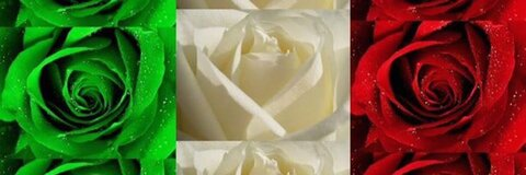 famosa header picture leakfans.com