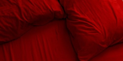 fanvanessa header picture leakfans.com