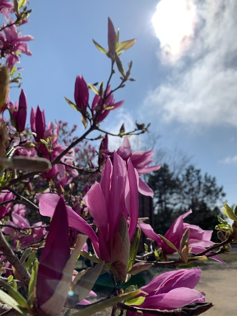 farchoosawits header picture leakfans.com