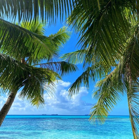 fatassmermaid.666 header picture leakfans.com