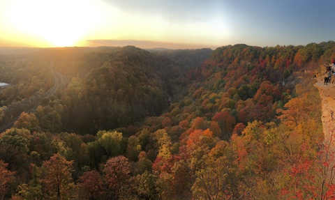 fatcocktop header picture leakfans.com