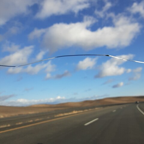 fatwhitetrash header picture leakfans.com