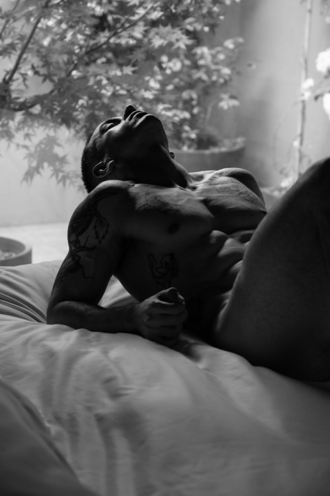 fedtattoo header picture leakfans.com