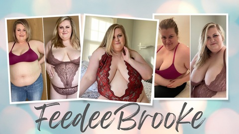 Header of feedeebrooke