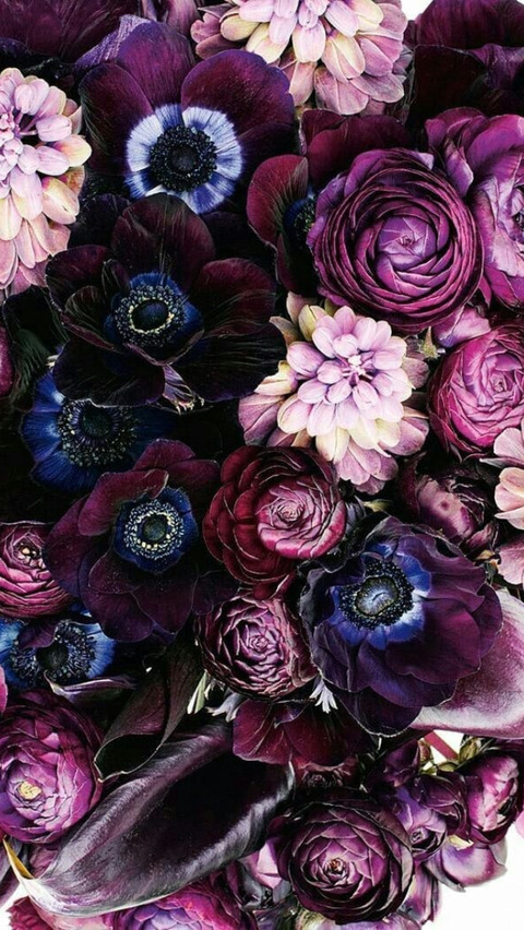 feetpics87 header picture leakfans.com