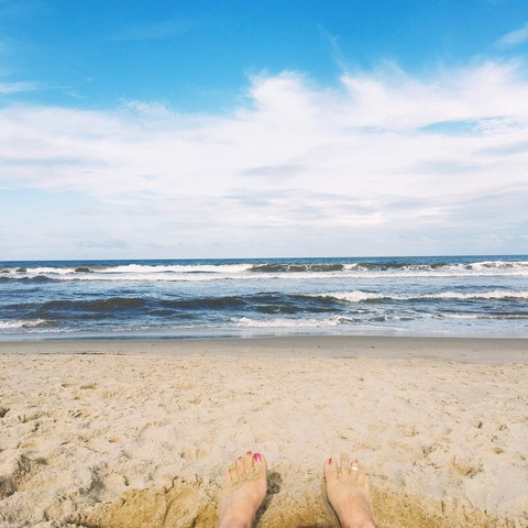 fetchingpaws header picture leakfans.com