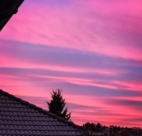 Header of fetishnikkii